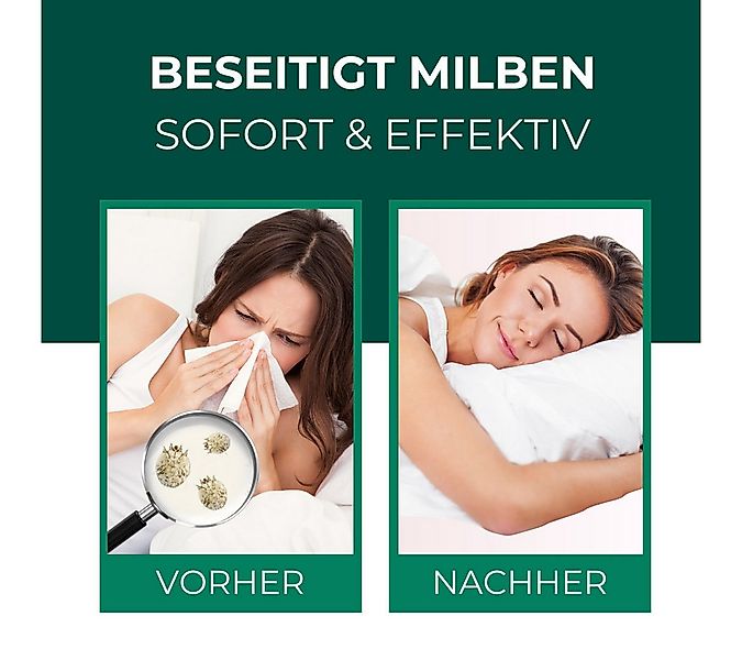 Silberkraft Insektenspray Silberkraft Milbenspray Sofa, Anti-Milben-Schutz günstig online kaufen
