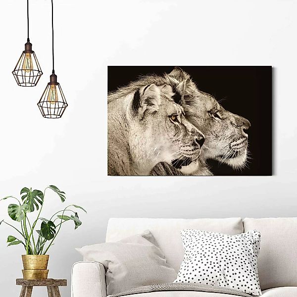 home24 Wandbild Löwe und Löwin günstig online kaufen