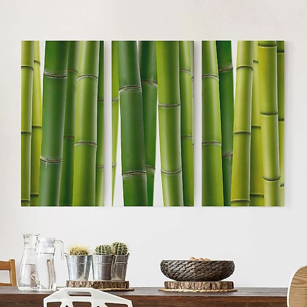 3-teiliges Leinwandbild Wald - Querformat Bambuspflanzen günstig online kaufen