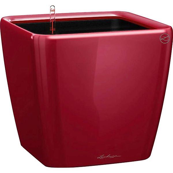 Lechuza Pflanzgefäß Quadro Premium LS 28 cm x 28 cm x 26 cm Scarlet Rot günstig online kaufen