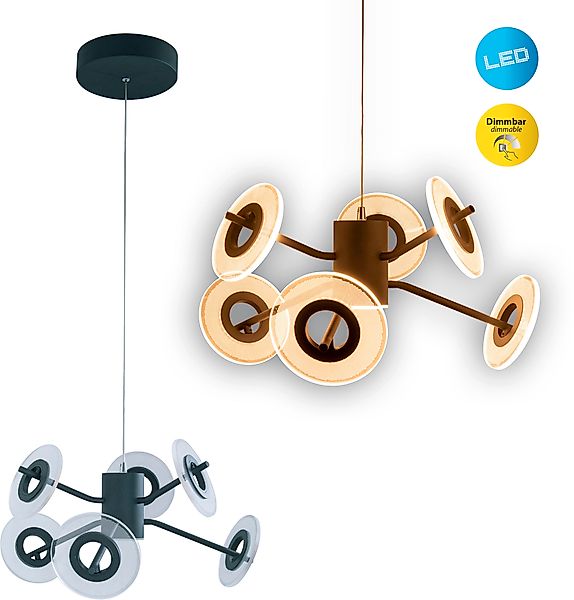 näve LED Pendelleuchte »Discus« 1 Stk. Warmweiß LED 6flg., dimmbar per Wand günstig online kaufen