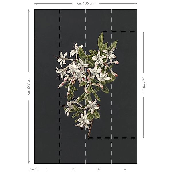 ESTAhome Fototapete Blüte Hellrosa und Schwarz 1,86 x 2,79 m 158885 günstig online kaufen