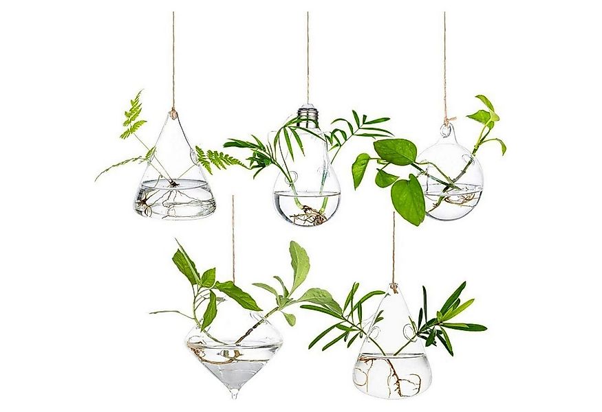 LuxusKollektion Blumenampel Hängende Glas Pflanzgefäße Wasserpflanzen Terra günstig online kaufen