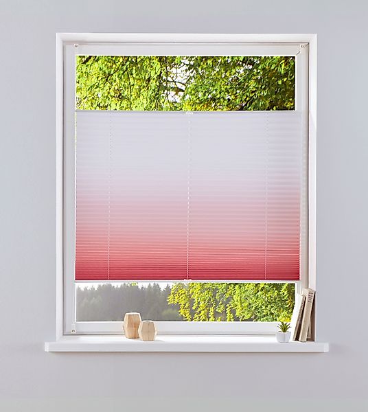 my home Plissee "Ombré" Lichtschutz ohne Bohren verspannt Fixmaß, Farbverla günstig online kaufen