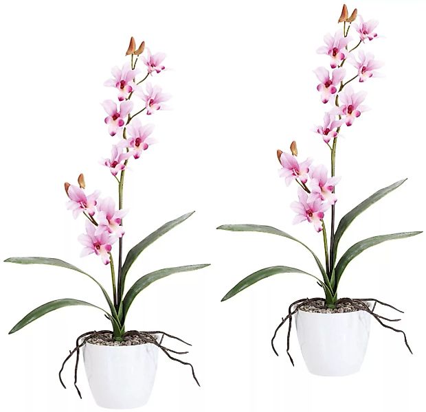 Creativ green Kunstpflanze "Orchidee Dendrobie" günstig online kaufen