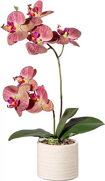Creativ green Kunstorchidee "Orchidee Phalaenopsis in Keramiktopf" günstig online kaufen