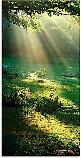 Artland Glasbild "Lichtkegel" Wald 1 Stk. tlg. in verschiedenen Größen günstig online kaufen