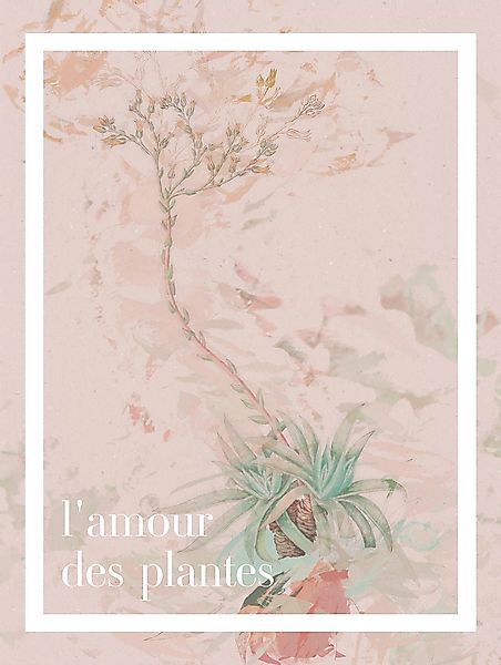 Komar Wandbild "Lamour des plantes", (1 St.), Deutsches Premium-Poster Foto günstig online kaufen