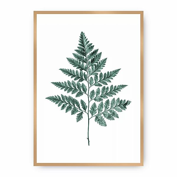 Poster Fern Emerald Green, 30 x 40 cm, Rahmen wählen: gold günstig online kaufen