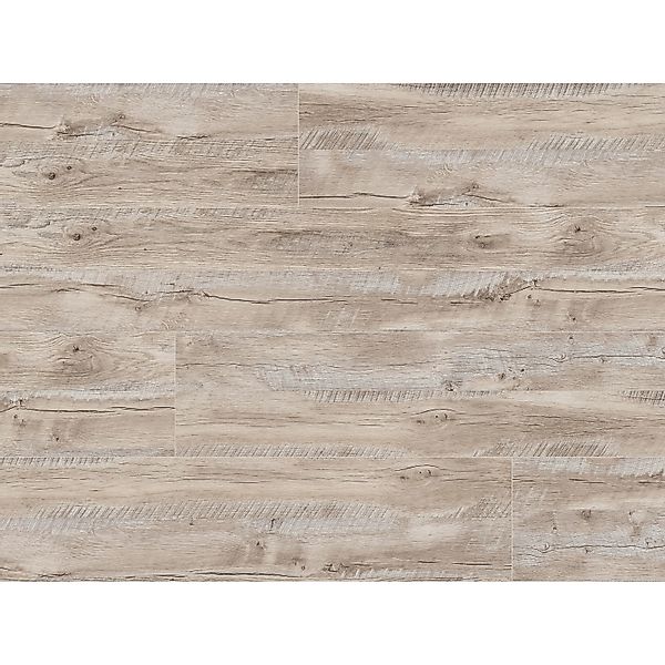 Kaindl Masterfloor Laminat 8 mm Eiche Bjorg günstig online kaufen