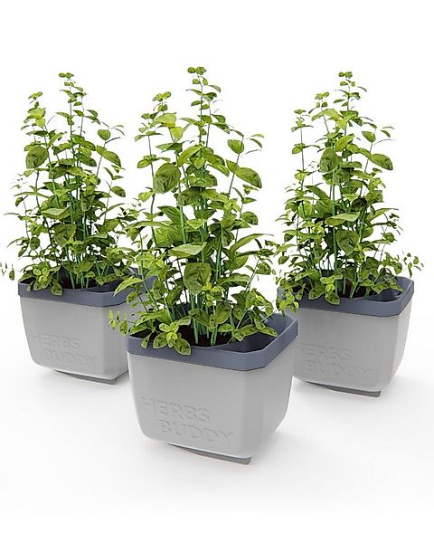 Gusta Garden Kräutertopf KRÄUTERFREUND (3er Set, 3er Set) günstig online kaufen