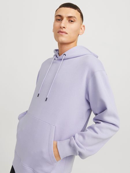 Jack & Jones Kapuzensweatshirt JJESTAR BASIC günstig online kaufen
