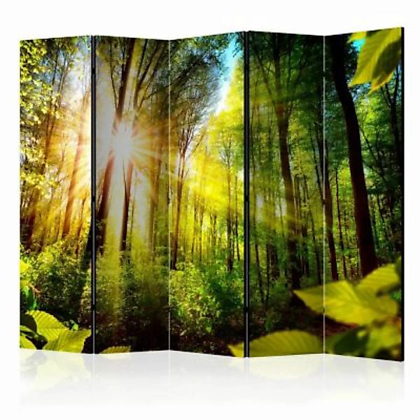 artgeist Paravent Forest Hideout II [Room Dividers] mehrfarbig Gr. 225 x 17 günstig online kaufen