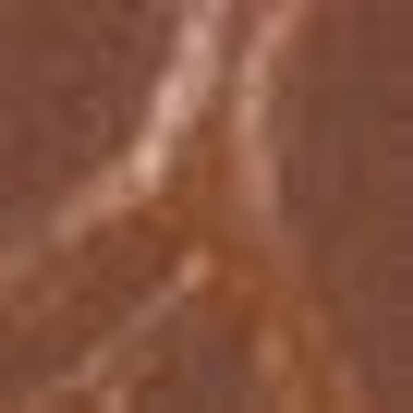 stuco Platzset Iguana – Stone-Shape, (Set, günstig online kaufen