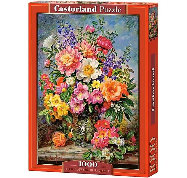 Castorland Puzzle Puzzle Juni Blumen 1000 Teile, Puzzleteile günstig online kaufen