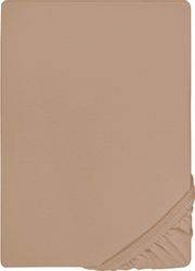 Biberna Spannbettlaken "Thea" aus Baumwolle, für Matratzen bis 25 cm Höhe, günstig online kaufen