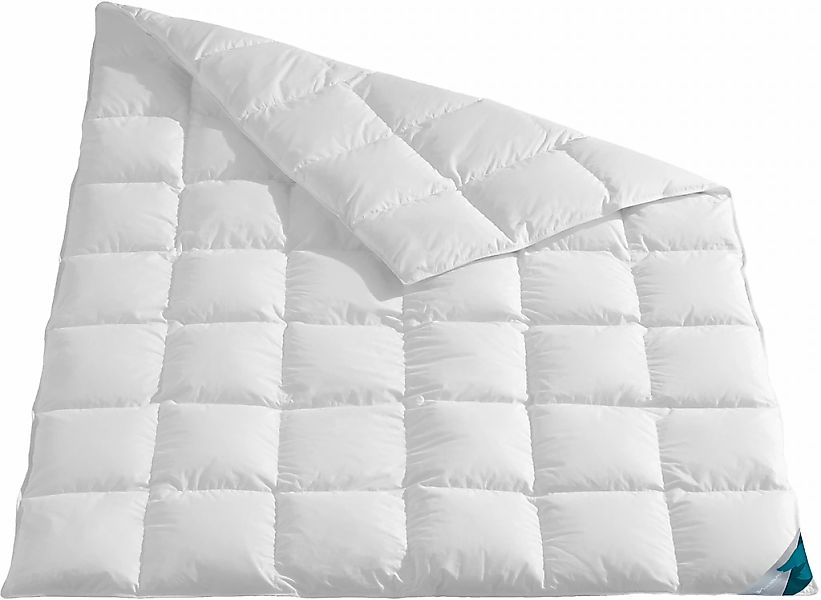 Haeussling Daunenbettdecke "Kuscheltraum, 135x200,155x220 & weitere Größen" günstig online kaufen