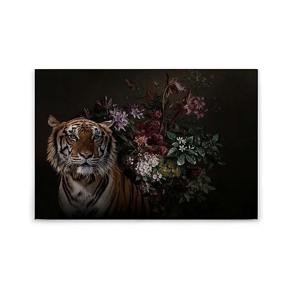 A.S. Création Leinwandbild "wildlife" Kunst  Tiere 1 Stk. tlg. Keilrahmen B günstig online kaufen