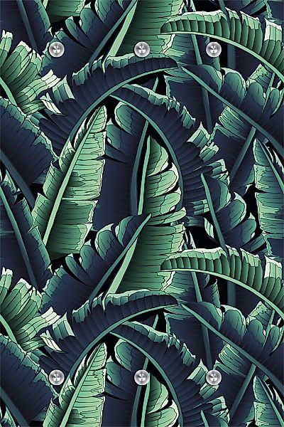 queence Garderobenleiste "Dschungel", mit 6 Haken, 80 x 120 cm günstig online kaufen