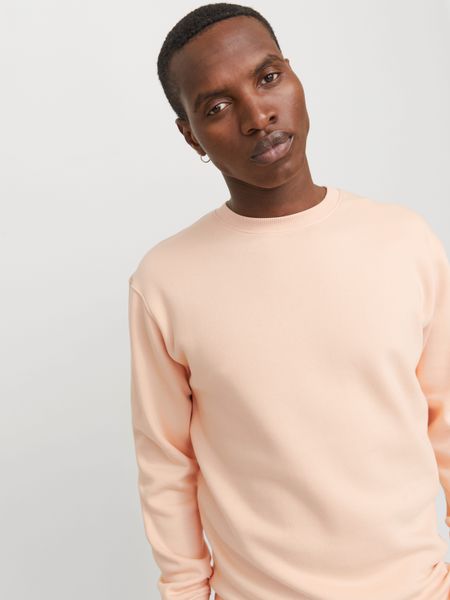 Jack & Jones Sweatshirt "JJESTAR BASIC SWEAT CREW NECK NOOS" mit Rundhalsau günstig online kaufen