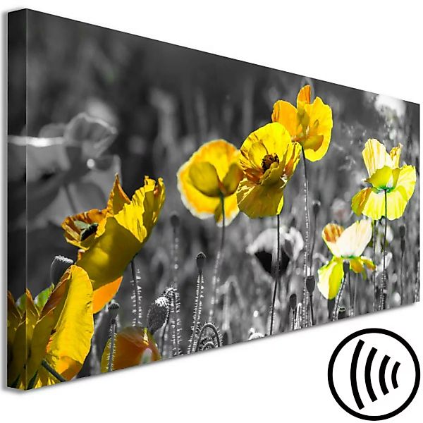 Wandbild Yellow Poppies (1 Part) Narrow XXL günstig online kaufen