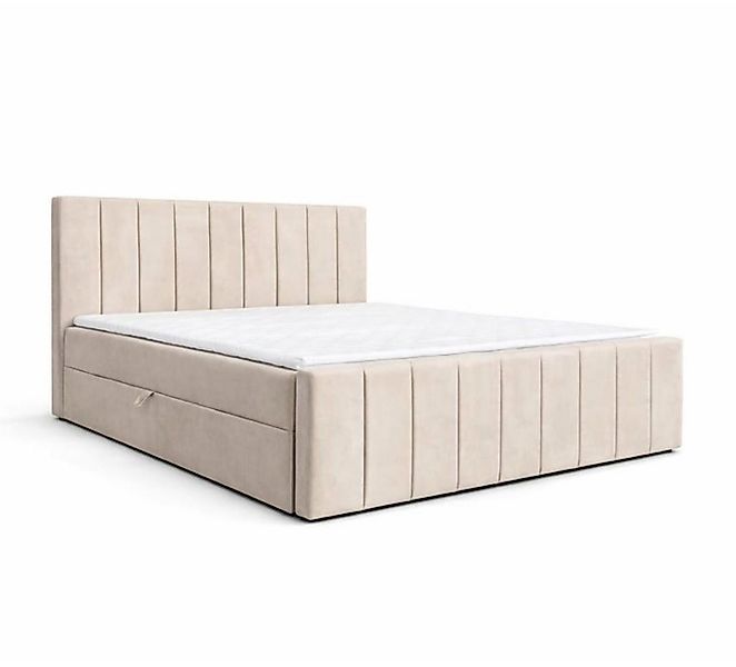 MOEBLO Boxspringbett BETT 01 BIS (Bonell, Topper, modernes Velours-Design m günstig online kaufen