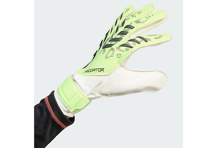 adidas Performance Torwarthandschuhe PREDATOR TRAINING TORWARTHANDSCHUHE (1 günstig online kaufen