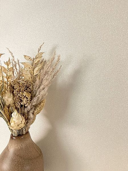 Newroom Vliestapete, Beige Tapete Modern Unifarbe - Universal Einfarbig Uni günstig online kaufen