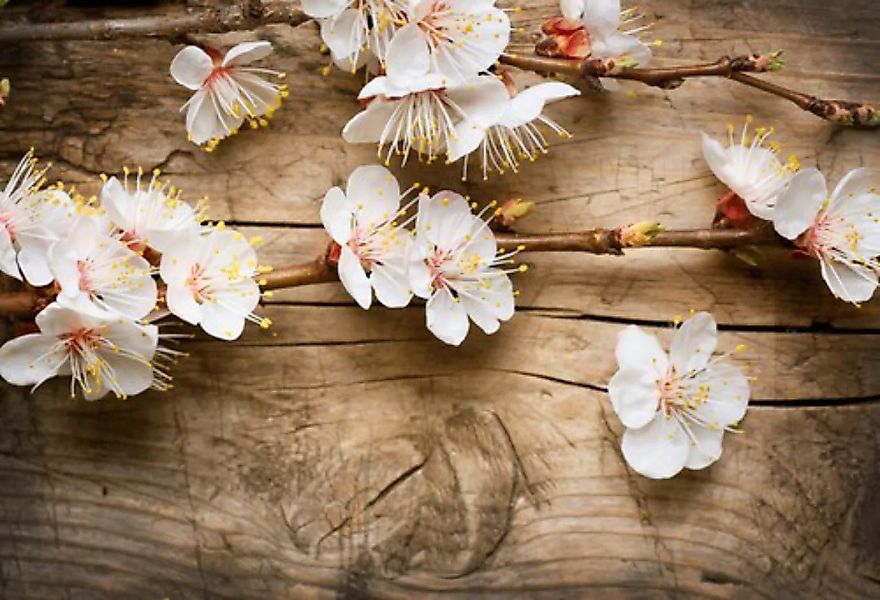 Papermoon Fototapete »Blumen auf Holz« günstig online kaufen