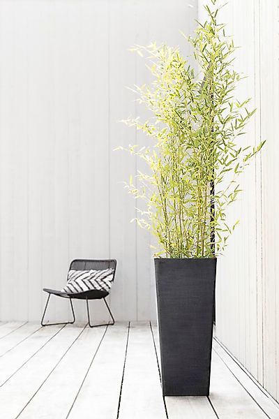 ECOPOTS Blumentopf "ROTTERDAM HIGH Dark Grey", BxTxH: 32x32x70 cm günstig online kaufen
