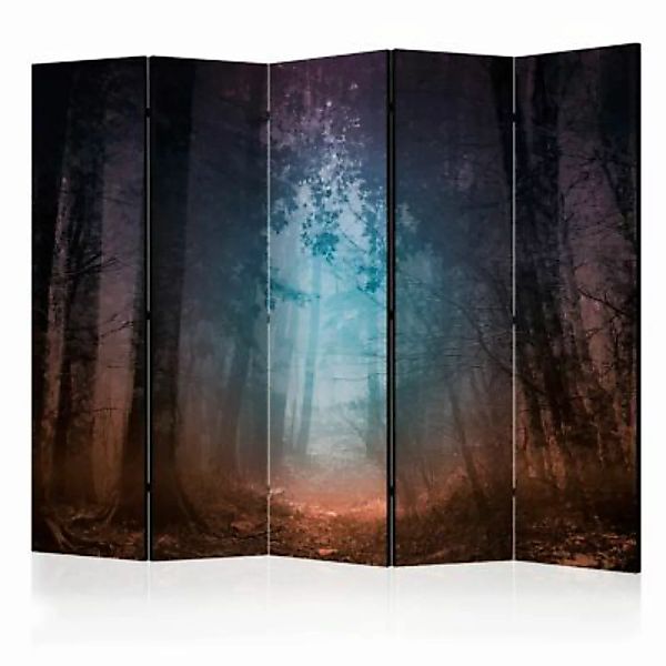 artgeist Paravent Keep breathing II [Room Dividers] mehrfarbig Gr. 225 x 17 günstig online kaufen