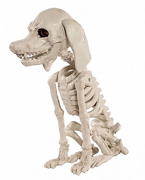 Horror-Shop Dekoobjekt Pudel Hundeskelett als Halloween Dekoration 25 cm günstig online kaufen