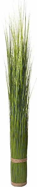 Botanic-Haus Kunstgras "Grasarrangement selbststehend" günstig online kaufen