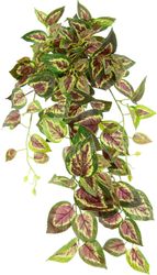 Kunstpflanze Buntnessel, I.GE.A., Höhe 80 cm, günstig online kaufen