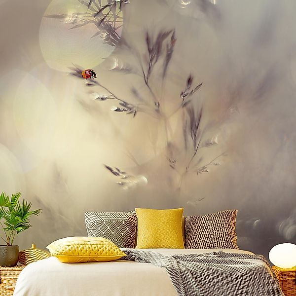 Bilderdepot24 Fototapete Tiere Marienkäfer Wiesengras Beige günstig online kaufen