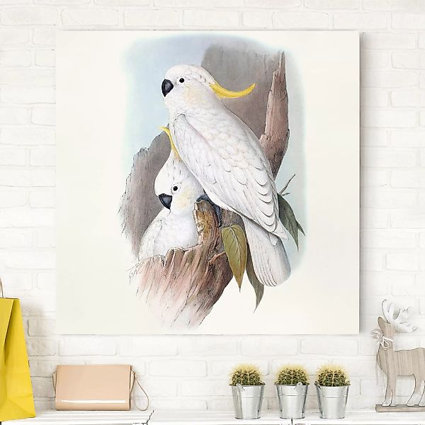 Leinwandbild Tiere - Quadrat Pastell Papageien III günstig online kaufen