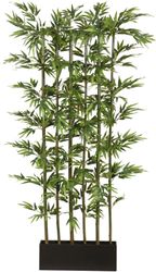 Kunstpflanze Bambus, Creativ green, Höhe 195 günstig online kaufen