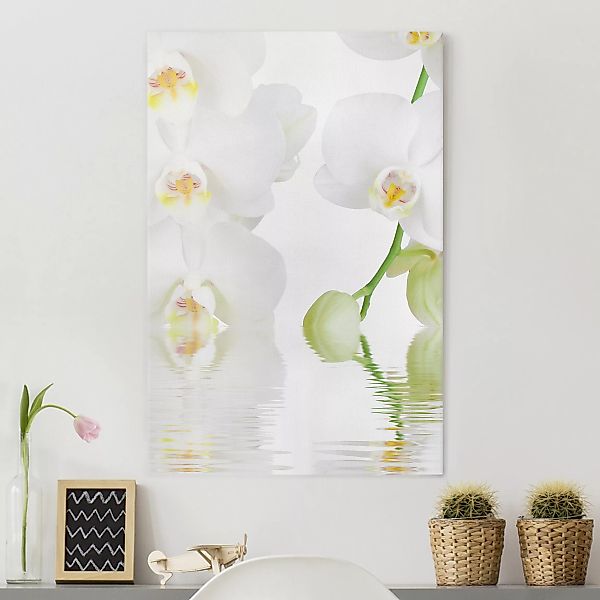 Leinwandbild Blumen - Hochformat Wellness Orchidee - Weiße Orchidee günstig online kaufen