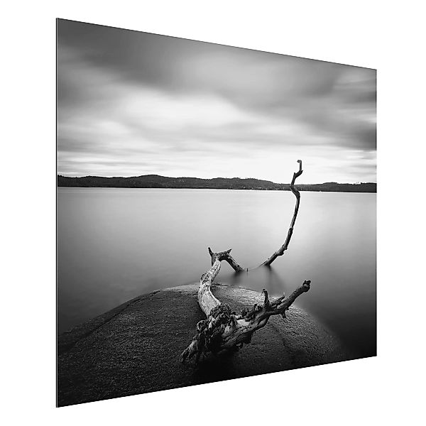 Alu-Dibond Bild Schwarz-Weiß - Querformat 4:3 Sonnenuntergang am See schwar günstig online kaufen