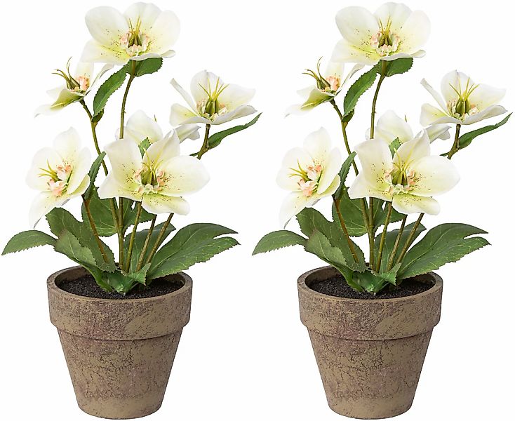 Winterliche Kunstpflanze Weihnachtsdeko Christrose, Creativ deco, günstig online kaufen