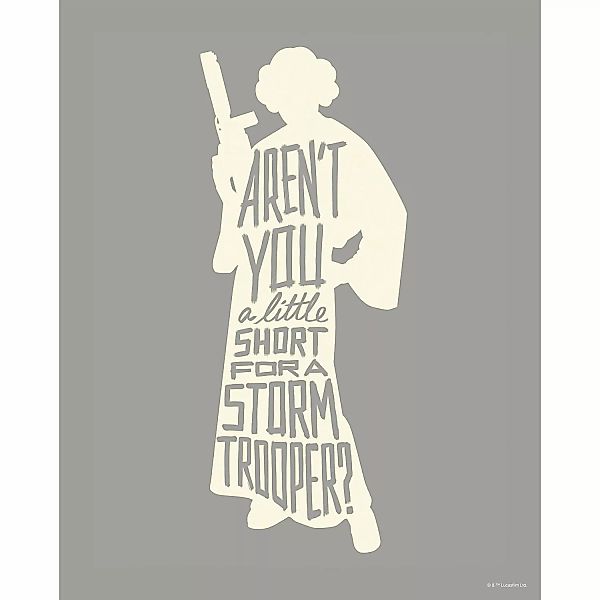 Disney Poster Leia Quotes Grau 40 x 50 cm 612163 günstig online kaufen