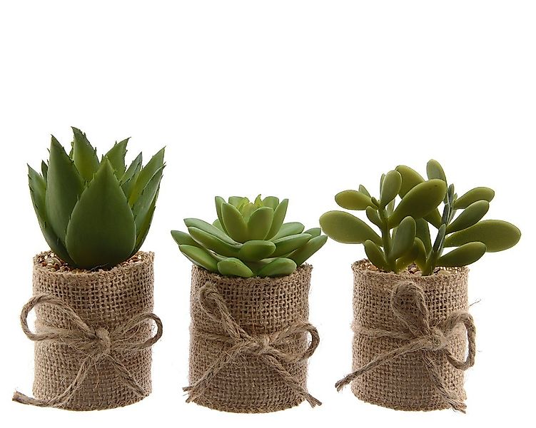 Kunstpflanze, Kaemingk, Sukkulenten künstlich im Topf 12cm, 3er Set günstig online kaufen