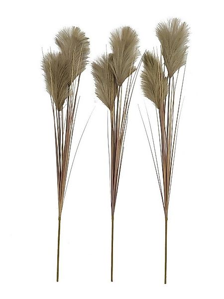 Kunstblume 3er Set Pampasgras Schlamm (Cortaderia), 2474U, Höhe 95 cm, küns günstig online kaufen