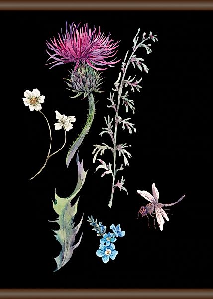queence Leinwandbild "Pflanzen und Libellen", 50x70 cm günstig online kaufen