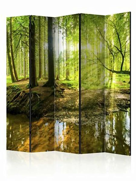 artgeist Paravent Forest Lake II [Room Dividers] braun-kombi Gr. 225 x 172 günstig online kaufen