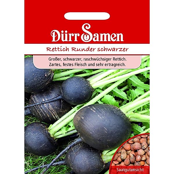 Dürr Samen Winterrettich Runder Schwarzer Saatgut günstig online kaufen