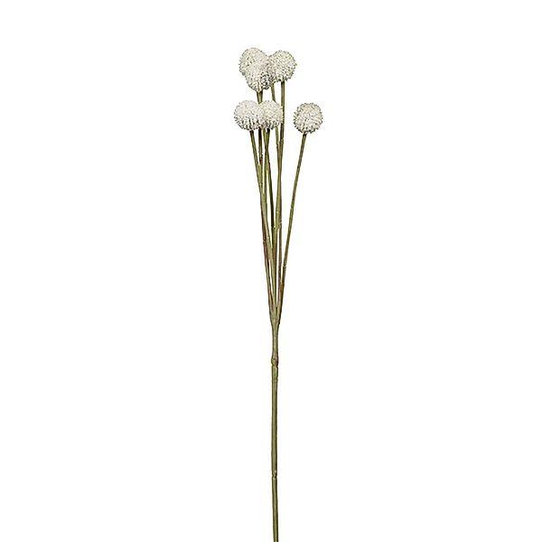 Kunstpflanze FINK Kunstblume Craspedia - creme günstig online kaufen
