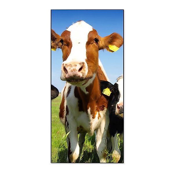 Banjado Magnettafel 37x78cm Magnetwand  Schwarz Aus Metall Magnetpinnwand P günstig online kaufen