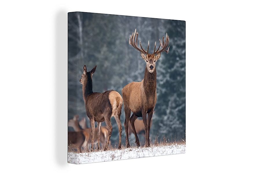 OneMillionCanvasses® Leinwandbild Waldtiere - Hirsche - Landschaft - Winter günstig online kaufen