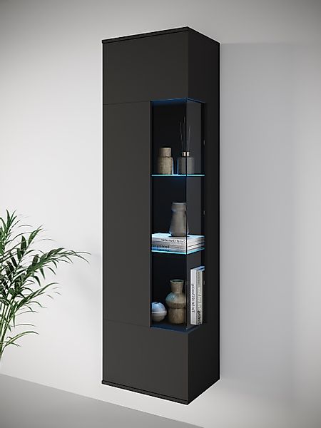 INOSIGN Vitrine "Kenia, stehend und hängend, Türanschlag wechselbar", (1 St günstig online kaufen
